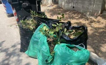 ΠΡΟΣΩΡΙΝΗ ΑΠΑΓΟΡΕΥΣΗ ΕΝΑΠΟΘΕΣΗΣ ΚΗΠΑΙΩΝ ΣΕ ΔΡΟΜΟΥΣ ΚΑΙ ΚΟΙΝΟΧΡΗΣΤΟΥΣ ΧΩΡΟΥΣ