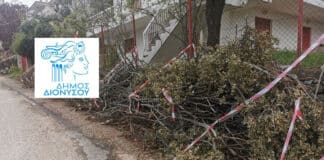 Προσωρινή απαγόρευση εναπόθεσης κηπαίων σε δρόμους και κοινόχρηστους χώρους του Δήμου Διονύσου έως 17/7 λόγω κινδύνου πυρκαγιάς