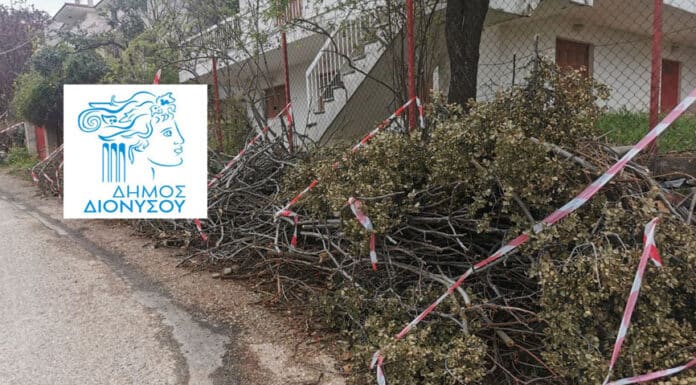Προσωρινή απαγόρευση εναπόθεσης κηπαίων σε δρόμους και κοινόχρηστους χώρους του Δήμου Διονύσου έως 17/7 λόγω κινδύνου πυρκαγιάς Προσωρινή απαγόρευση εναπόθεσης κηπαίων σε δρόμους και κοινόχρηστους χώρους του Δήμου Διονύσου έως 17/7 λόγω κινδύνου πυρκαγιάς