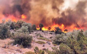 Μετά την καταστολή των πυρκαγιών η αποτίμηση της συνολικά καμένης έκτασης
