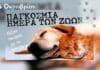 4 Οκτωβρίου-Παγκόσμια Ημέρα Ζώων