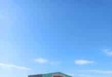 «Κανένα Αδέσποτο Ζώο» το σλόγκαν του Σ.Β.Α.Π.