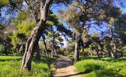 Το Δάσος Μορέλλα δεν πρόκειται να αλλάξει ποτέ!