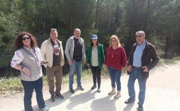 Αυτοψία από τη Δήμαρχο, την Αντιπεριφερειάρχη Β. Τομέα και τον Δασάρχη στα ρέματα και τους δασικούς δρόμους