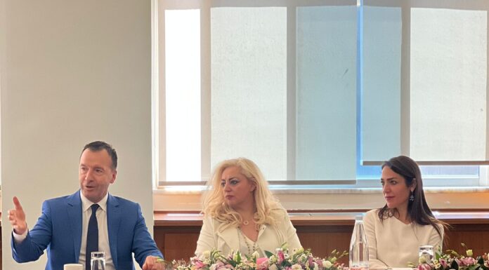 Δόμνα Μιχαηλίδου: «Οι επιχειρήσεις δείχνουν τον δρόμο για τον επαναπατρισμό των Ελλήνων εργαζομένων υψηλής εξειδίκευσης»