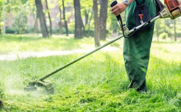 Εκατοντάδες συστημένες επιστολές για τον καθαρισμό οικοπέδων από τον Δήμο Πεντέλης προς τους ιδιοκτήτες