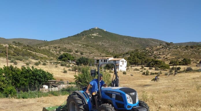Ο ΣΠΑΠ υλοποιεί πρόγραμμα προληπτικών εργασιών κοπής ξερών χόρτων αστικών και περιαστικών περιοχών.