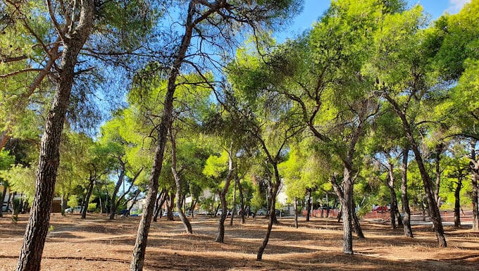 Έκτακτη επιχορήγηση 20.000 ευρώ για πυροπροστασία λαμβάνει ο Δήμος Λυκόβρυσης – Πεύκης από το Υπουργείο Εσωτερικών