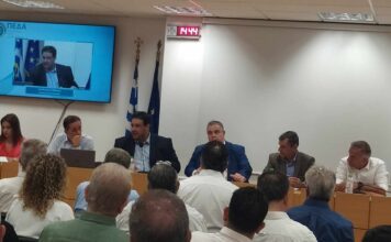 Οι τοποθετήσεις της Δημάρχου Διονύσου στη συνάντηση με τον Υπουργό Εσωτερικών, Θ. Λιβάνιο