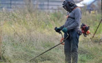 Οδηγίες για τη σωστή διαχείριση βλάστησης εντός οικοπέδων