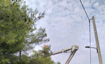 Από τη Λυκόβρυση άρχισαν οι ψεκασμοί για την προστασία των δέντρων