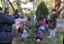Τα παιδιά πρασίνισαν τον Συνοικισμό με 100 νέα δέντρα και φυτά