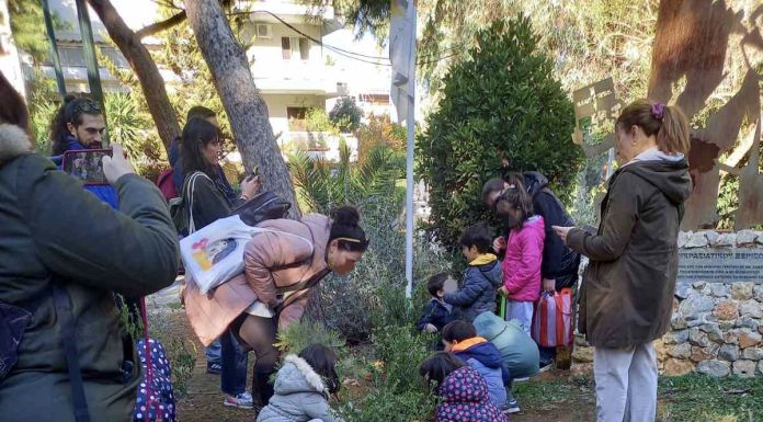 Τα παιδιά πρασίνισαν τον Συνοικισμό με 100 νέα δέντρα και φυτά Τα παιδιά πρασίνισαν τον Συνοικισμό με 100 νέα δέντρα και φυτά