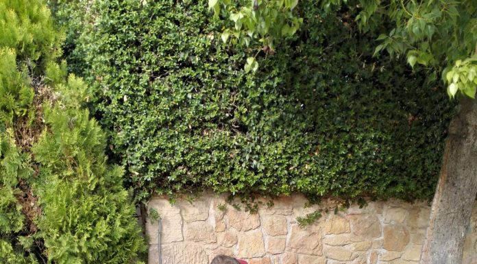Ενισχύεται η ασφάλεια στις μετακινήσεις των πολιτών με τη συντήρηση πεζοδρομίων στην οδό Βεργίνας από συνεργείο του Δήμου Λυκόβρυσης – Πεύκης