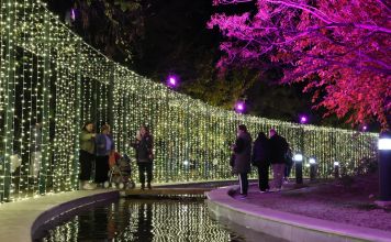 Νίκος Χαρδαλιάς: «Δίνουμε στα παιδιά μας την ευκαιρία να μάθουν διασκεδάζοντας στον πιο χαρούμενο εορταστικό προορισμό της Αττικής»