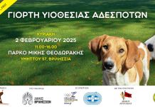 Γιορτή υιοθεσίας αδέσποτων την Κυριακή 2/2 στις 11:00 στο πάρκο Μ. Θεοδωράκης (πρ. ΤΥΠΕΤ)
