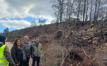 Τέθηκαν σε λειτουργία 19 νέοι υπόγειοι κάδοι συλλογής απορριμμάτων – Ενισχύονται τα δρομολόγια