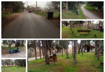 Καθαρισμός της Παραρεμάτιας Περιοχής Πύρνας από τον Δήμο Λυκόβρυσης-Πεύκης