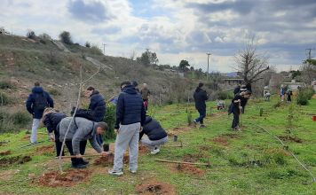 Με μεγάλη επιτυχία ολοκληρώθηκε η 3η Εθελοντική Δενδροφύτευση από τον ΣΠΑΠ και το «Όλοι Μαζί Μπορούμε»