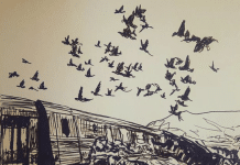 Ομόφωνο Ψήφισμα του Δημοτικού Συμβουλίου για την τραγωδία των Τεμπών