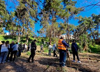 «Δίνουμε οξυγόνο στην πόλη μας» το μήνυμα της δενδροφύτευσης στη Ρεματιά Χαλανδρίου