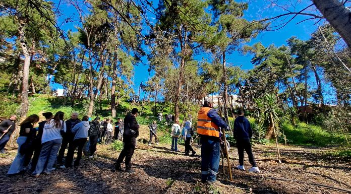 «Δίνουμε οξυγόνο στην πόλη μας» το μήνυμα της δενδροφύτευσης στη Ρεματιά Χαλανδρίου