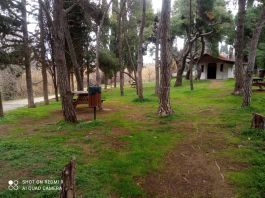 Ο Δήμος Λυκόβρυσης – Πεύκης υποβάλλει πρόταση στο Πράσινο Ταμείο: Ένα νέο “δάσος πόλης” στην Πύρνα με πάνω από 2.000 φυτεύσεις