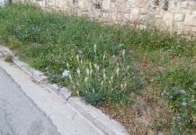 Διατήρηση Λειτουργικών και Ασφαλών Πεζοδρομίων στον Δήμο Κηφισιάς