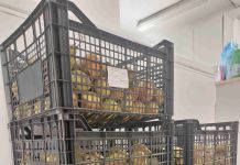 Δράσεις ενίσχυσης των ωφελουμένων του Κοινωνικού Παντοπωλείου και Διανομή προϊόντων παντοπωλείου για το μήνα Ιούνιο