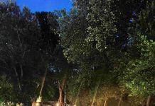 Στη διάθεση των κατοίκων η Παραρεμάτια Διαδρομή – Μια ακόμα ανάπλαση από τον Δήμο Χαλανδρίου