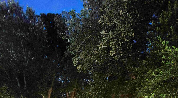 Στη διάθεση των κατοίκων η Παραρεμάτια Διαδρομή – Μια ακόμα ανάπλαση από τον Δήμο Χαλανδρίου