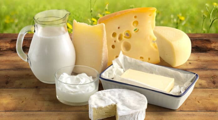 Τα γαλακτοκομικά στη διατροφή μας, γράφει η Ελευθερία Κατσαμάνη MSc (MedSc), Κλινική Διαιτολόγος, Διατροφολόγος