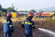 Συνδρομή της Πολ. Προστασίας του Δήμου Βριλησσίων στην πυρκαγιά της Παιανίας