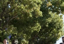 Το Χαλάνδρι τίμησε την επέτειο του ηρωικού ΟΧΙ