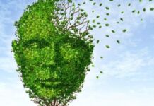 Φαρμακευτικές και Μη φαρμακευτικές παρεμβάσεις της άνοιας, άρθρο του Αριστείδη Β. Βασιλείου, MD Ειδικού Νευρολόγου