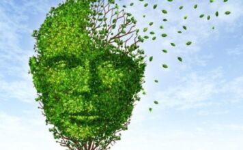 Φαρμακευτικές και Μη φαρμακευτικές παρεμβάσεις της άνοιας, άρθρο του Αριστείδη Β. Βασιλείου, MD Ειδικού Νευρολόγου