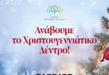 ΑΝΑΒΕΙ ΤΟ ΧΡΙΣΤΟΥΓΕΝΝΙΑΤΙΚΟ ΔΕΝΤΡΟ ΤΟΥ ΔΗΜΟΥ ΦΙΛΟΘΕΗΣ ΨΥΧΙΚΟΥ