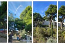 Σε εξέλιξη εργασίες ψεκασμού των πεύκων στον Δήμο Λυκόβρυσης-Πεύκης