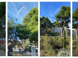 Σε εξέλιξη εργασίες ψεκασμού των πεύκων στον Δήμο Λυκόβρυσης-Πεύκης