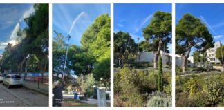 Σε εξέλιξη εργασίες ψεκασμού των πεύκων στον Δήμο Λυκόβρυσης-Πεύκης