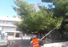 Εποχικοί ψεκασμοί για τον περιορισμό του πληθυσμού της κάμπιας των πεύκων στον Δήμο Ηρακλείου Αττικής