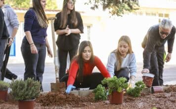 Δεντροφύτευση από το Forum Νέων Αμαρουσίου – Μαθητές του 6ου Λυκείου και του 5ου Γυμνασίου Αμαρουσίου συμμετείχαν ενεργά στη διαμόρφωση των σχολικών τους χώρων