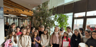 Κάλαντα και γιορτινές μελωδίες στο Δημαρχείο από το 1ο Δημοτικό Κηφισιάς «Γεώργιος Δροσίνης»