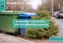 Πρόγραμμα αποκομιδής και ανακύκλωσης Χριστουγεννιάτικων δέντρων