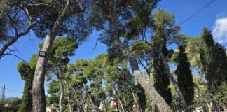 Χιλιάδες Ηρακλειώτες στο Κτήμα Φιξ για τα Κούλουμα του Δήμου Ηρακλείου Αττικής