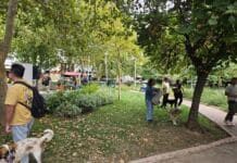 Ο Δήμος Ηρακλείου Αττικής συνεχίζει να επενδύει σημαντικά στην προστασία των ζώων – Νίκος Μπάμπαλος; «Ο σεβασμός στα ζώα είναι υψηλό σημάδι ανθρωπιάς»