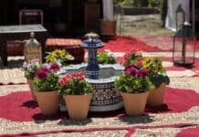 Η «καρδιά» του Μαρόκου «χτυπά» στους ρυθμούς της 72ης Ανθοκομικής Έκθεση Κηφισιάς!