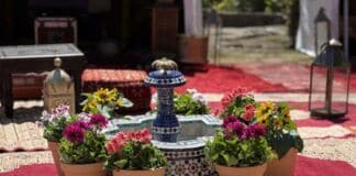 Η «καρδιά» του Μαρόκου «χτυπά» στους ρυθμούς της 72ης Ανθοκομικής Έκθεση Κηφισιάς!