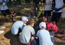 «Μέρες Δράσης για το Περιβάλλον» στον Δήμο Ηρακλείου Αττικής με αφορμή την Παγκόσμια Ημέρα