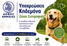 Η Υπεύθυνη Κηδεμονία είναι πράξη Αγάπης και Σεβασμού!